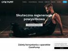 Miniatura strony carepump.pl
